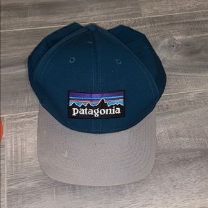 Patagonia Cap